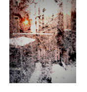 Detroit Frost